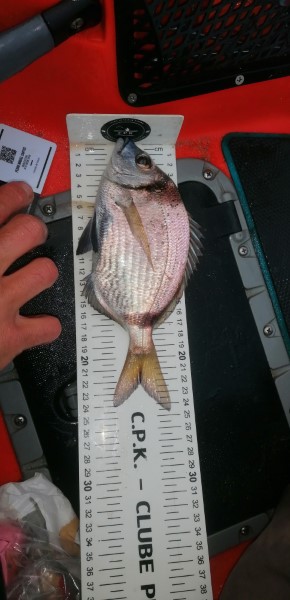 Fish Measure Picture